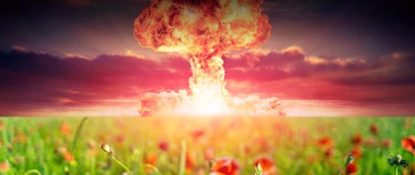 Ученые выяснили, какие организмы и растения смогут выжить после ядерного взрыва