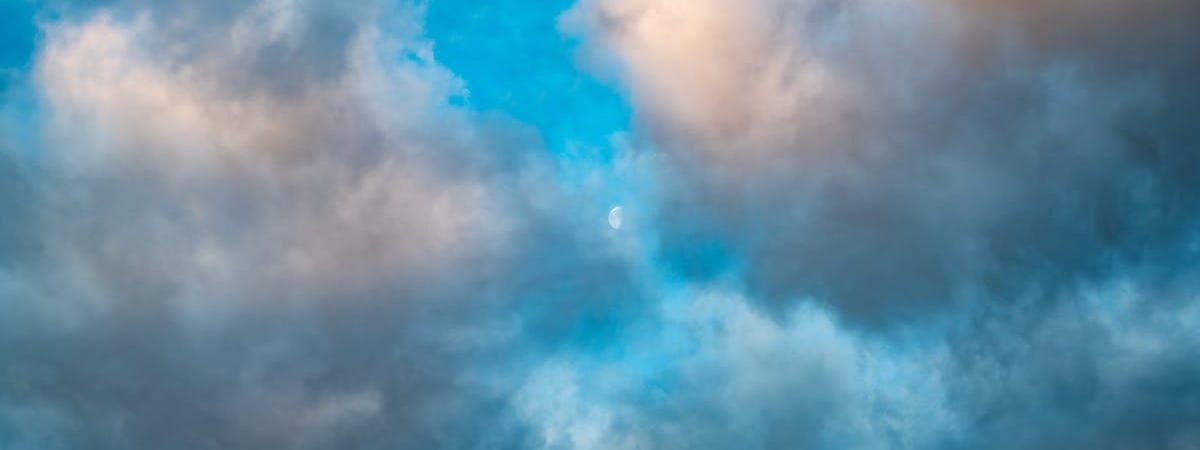 Власти Литвы опасаются формирования пятой колонны из белорусских мигрантов