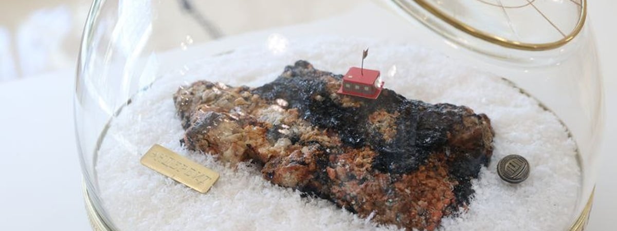 Лукашенко поручил использовать исследования Антарктиды в Беларуси и спросил, можно ли ему там пожить — Фото