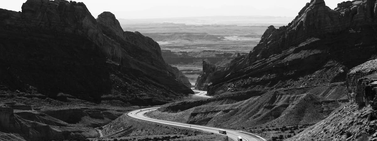 Самый большой и самый вонючий. В Америке впервые за 8 лет зацвёл редкий «трупный цветок» — Видео