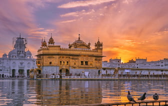 В Беларуси стартовал клубничный сезон. Почём продают ароматную ягоду отечественного производства? — Видео