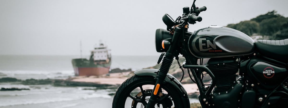 «Как он тут оказался?» — В Черном море под Одессой сняли на видео пингвина — Видео