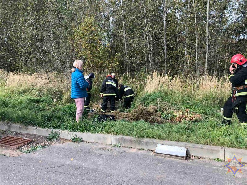 Школьник упал в канализационный колодец в Новополоцке, мальчик получил травмы. Фото МЧС