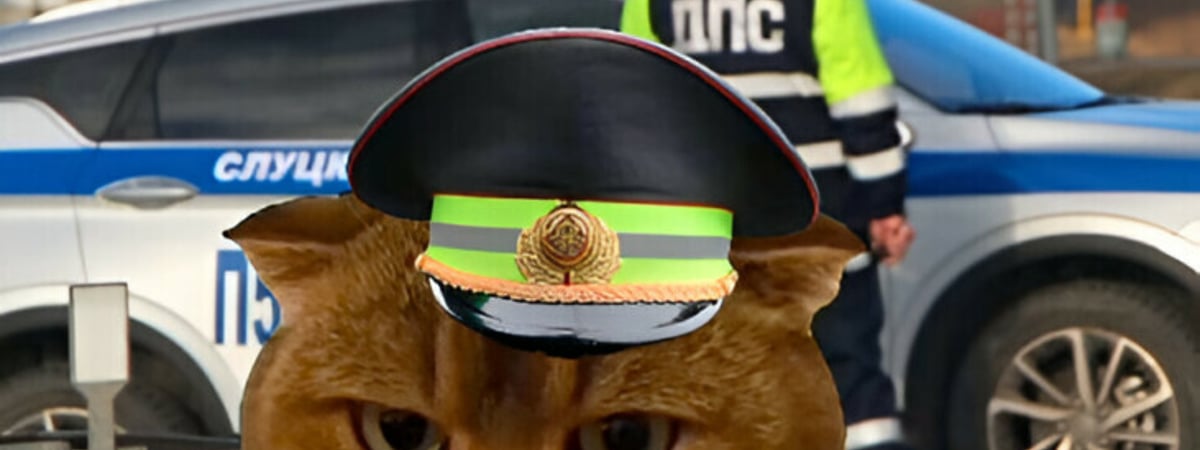 Вместо помады – лапой по морде. ГАИ Минщины рассказала мемами о том, как уберечь детей — Видео