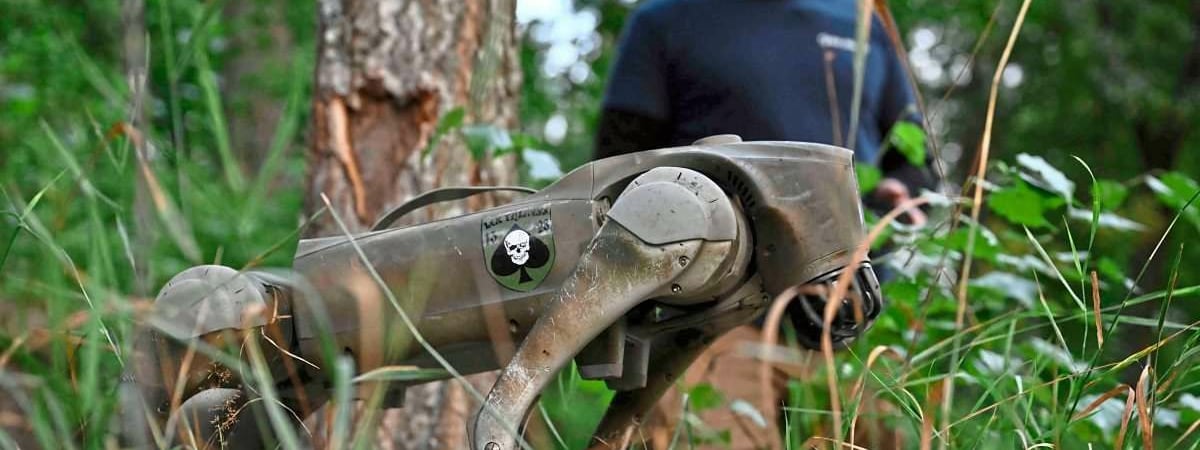 Робособаки ВСУ оказались британской разработкой с немецким тепловым камуфляжем — BILD — Видео