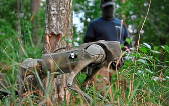 Робособаки ВСУ оказались британской разработкой с немецким тепловым камуфляжем — BILD — Видео