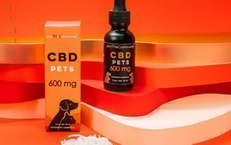 Летом в Полоцке и Новополоцке студенты-медики будут работать врачами, медсестрами, санитарами