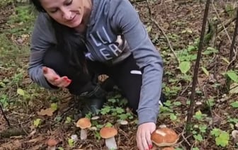 Белоруска показала большую поляну боровиков — видео