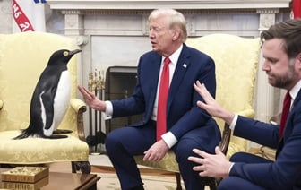 У Трампа объяснили, почему ввели санкции против пингвинов. Но в соцсетях не поверили? — Фото