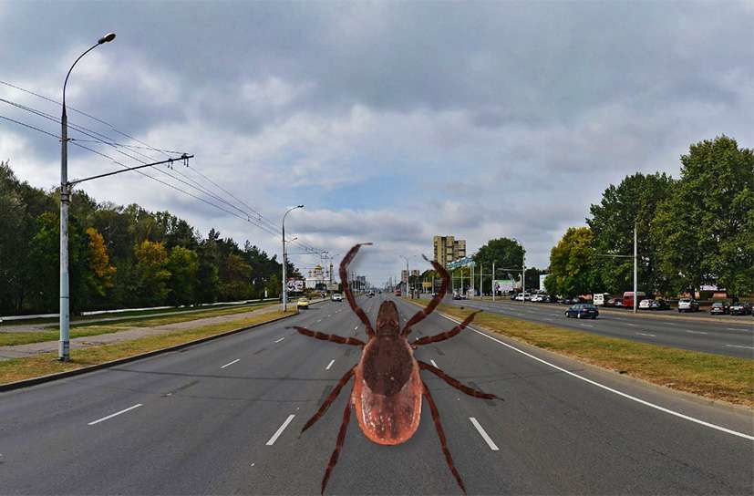 Фото носит иллюстративный характер