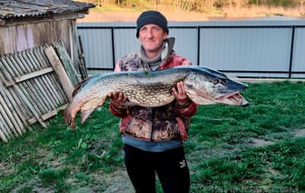 «Поймал «крокодила» — На Гродненщине рыбак выловил щуку весом более 12 кг — Фото