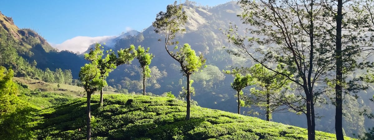 В Беларуси установлены надбавки к ценам на закупаемую у населения в 2025 году сельхозпродукцию
