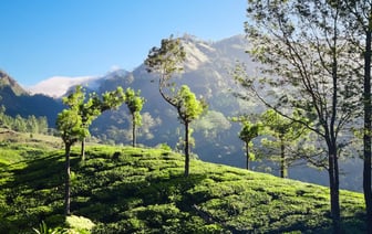 В Беларуси установлены надбавки к ценам на закупаемую у населения в 2025 году сельхозпродукцию