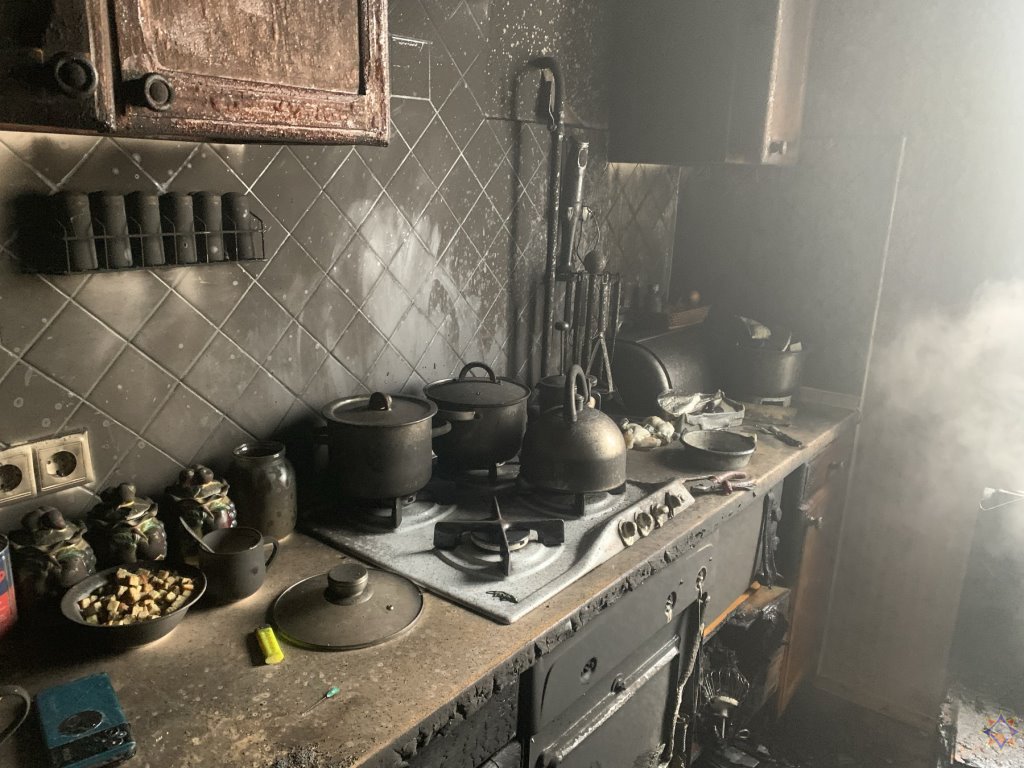 Кот спас хозяина от смерти на пожаре в Слониме