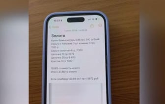 Няня в Минске украла украшения на 8 тысяч рублей