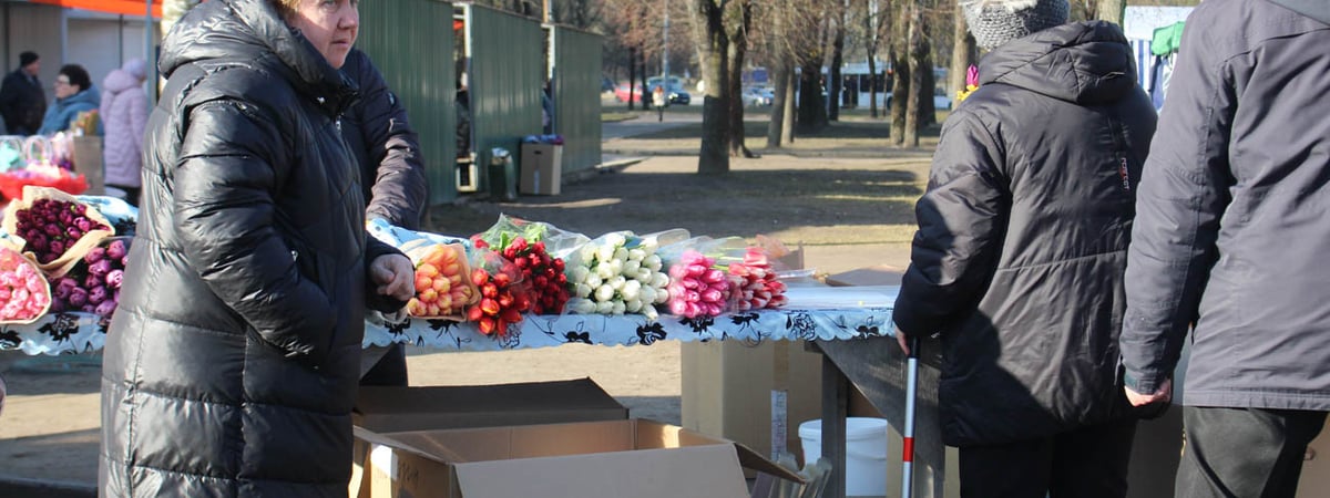Фотофакт. Узнали, по каким ценам в Гродно продают тюльпаны