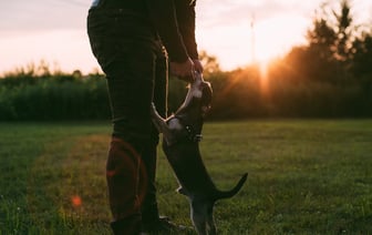 В Полоцке приглашают инвесторов для размещения аттракционов в парке возле Кургана Бессмертия
