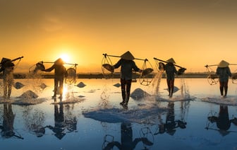 В Светлогорском районе на ферме заморили голодом 12 телят