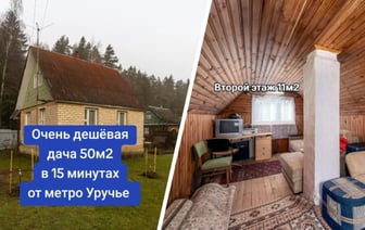 «За что??» — Минчанам предложили «очень дешевую» дачу за $40 тыс. В TikTok назвали другие цены — Фото