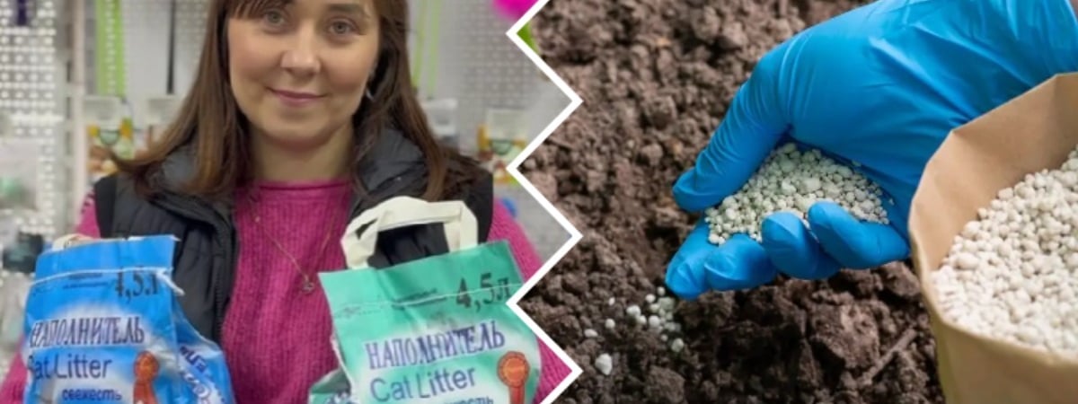 Как кошачий наполнитель поможет урожаю? Садовод рассказала, сколько добавлять в грунт — Полезно
