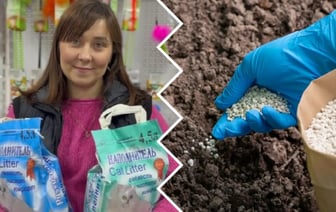 Как кошачий наполнитель поможет урожаю? Садовод рассказала, сколько добавлять в грунт — Полезно