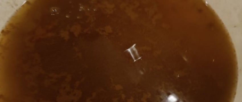 Что случилось с водой в д.Знаменка под Брестом