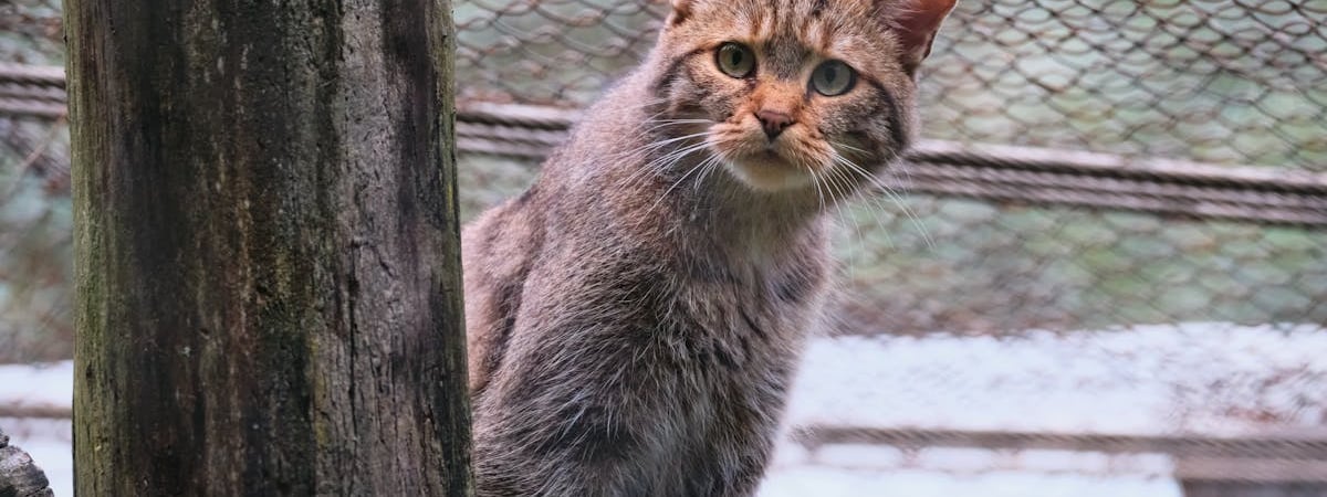 Посылки в Беларуси теперь можно получить по QR-коду