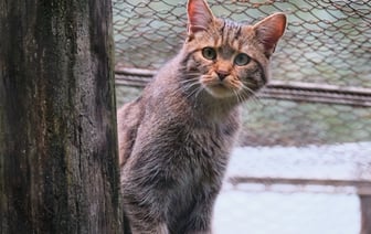 Посылки в Беларуси теперь можно получить по QR-коду