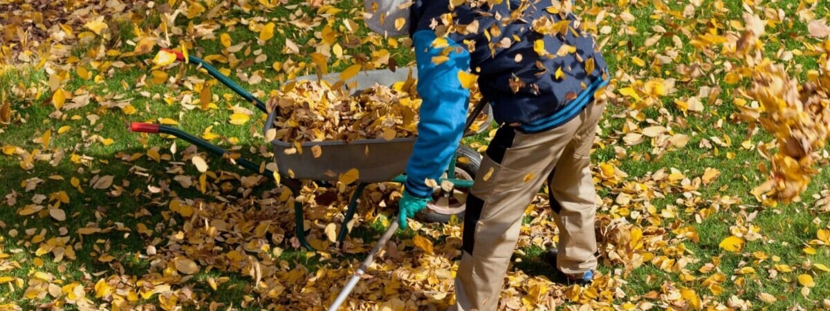 В МинЖКХ Беларуси назвали даты республиканских субботников в 2025 году