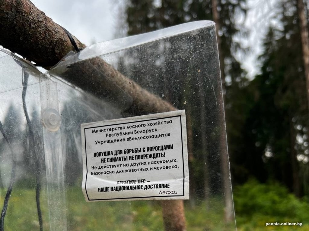 Белорус нашел в лесу странное приспособление. Угадаете, что это?