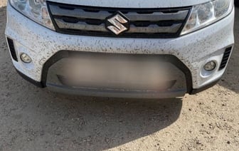 Атака мошек в Бресте: раннее потепление привело к необычной активности