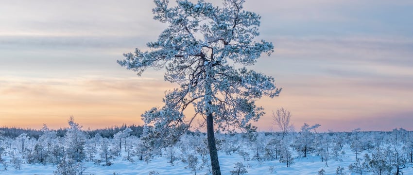 Здорово, весело и бесплатно. Посмотрели, как там на полоцких катках?