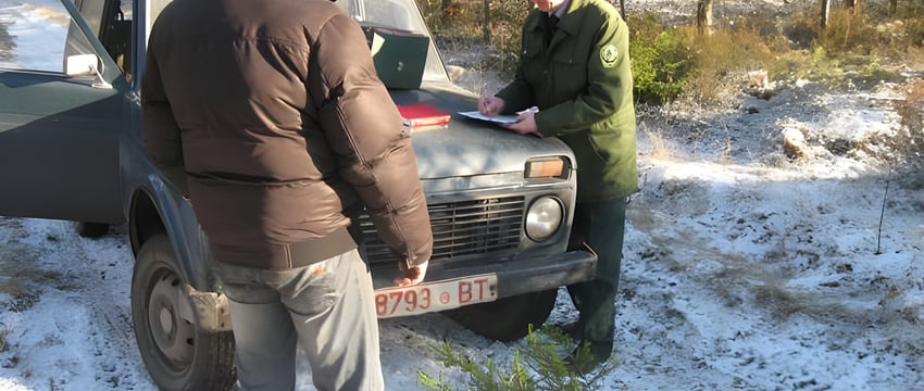 Лесники начали проверки на дорогах Витебщины — ловят тех, кто самовольно рубит ёлочки к Новому году