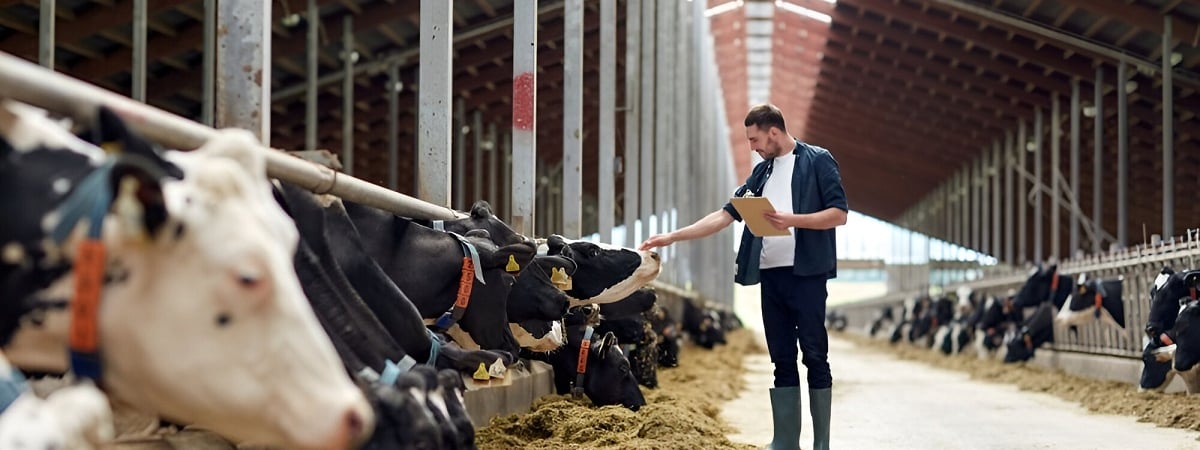 «На четверть ниже средней» — Глава Белстата пожаловалась на низкие зарплаты в сельском хозяйстве. В министерстве ответили