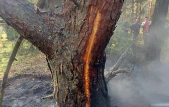 Удар молнии и лесные пожары в Кобринском районе