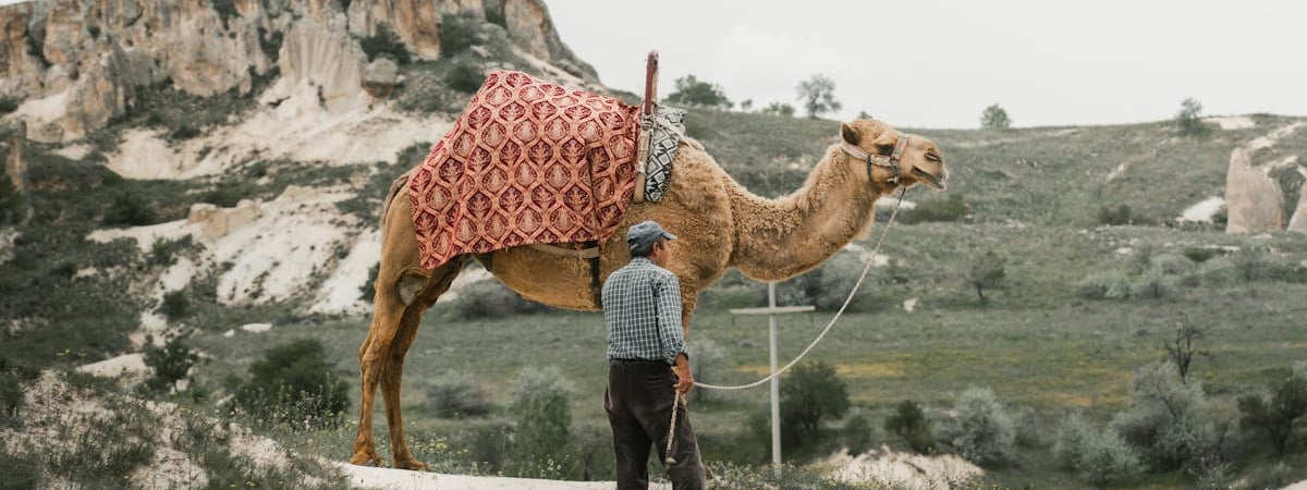 Турция приостановила действие Договора об обычных вооруженных силах в Европе