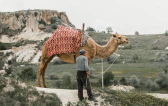 Турция приостановила действие Договора об обычных вооруженных силах в Европе