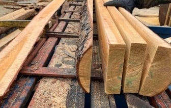 В Брестской области начали штрафовать за неправильное использование древесины