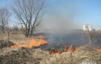 Более 20 пожаров в экосистемах Гомеля произошло с начала года