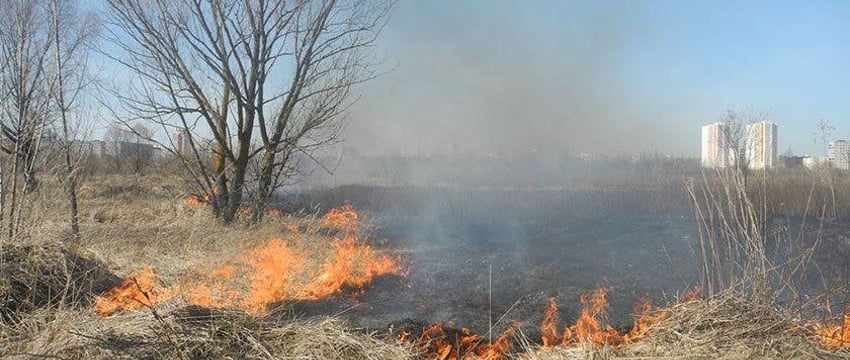 Более 20 пожаров в экосистемах Гомеля произошло с начала года
