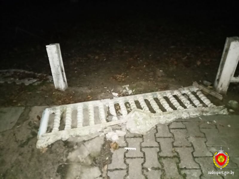 Пьяные подростки в Дрогичинском районе «навеселились» на уголовное дело