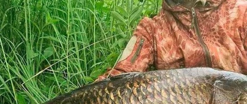 В Беларуси рыбак поймал огромного сазана