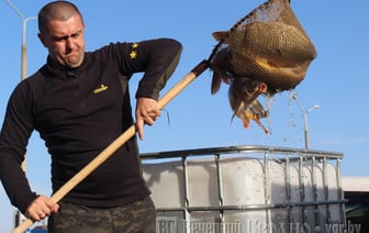 Свежая рыба, овощи, фрукты и саженцы — в Гродно пройдет ярмарка