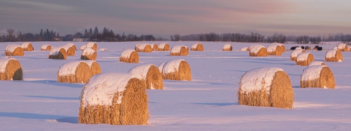 Выпускница БГАТУ не отработала полный срок распределения; с нее взыскали 31 тысячу рублей