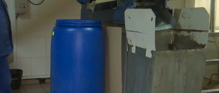 Здание за две базовые превратили в прибыльное производство! Как в Брестской области развивают бизнес на селе