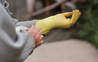 Сельхозпроизводство в Беларуси за 8 месяцев  увеличилось на 7,2%