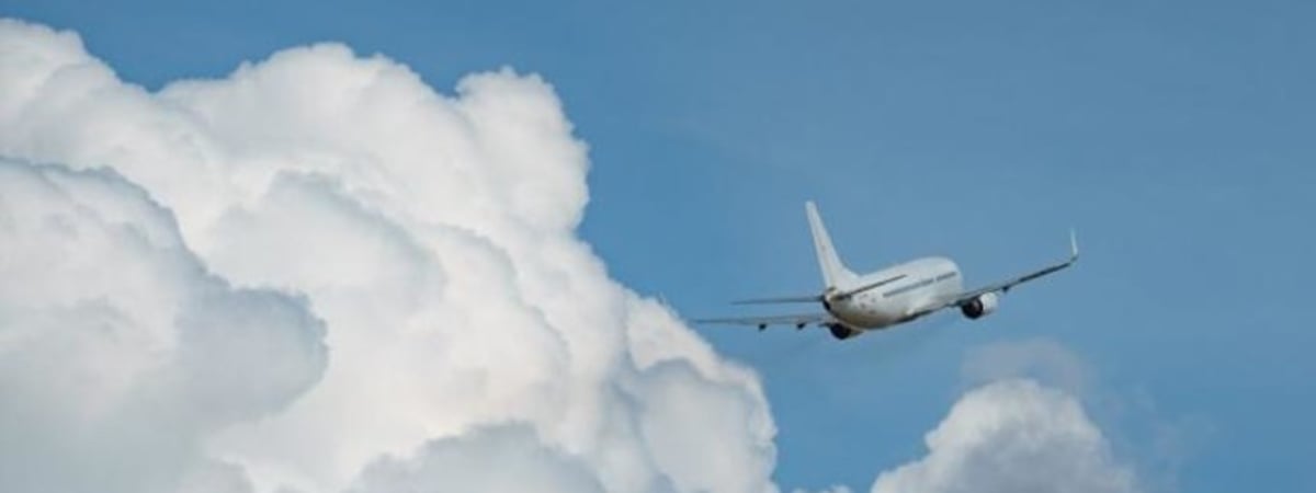 Белорусы, работавшие по контрактам, эвакуированы из Сирии