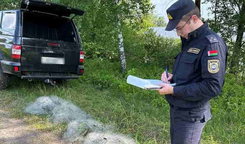Браконьеров в Столинском районе поймали с поличным. Один из них сбежал, но на следующий день сдался