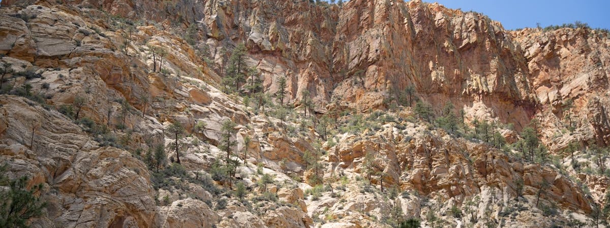 США хотят от Японии значительного увеличения производство ракет для Patriot