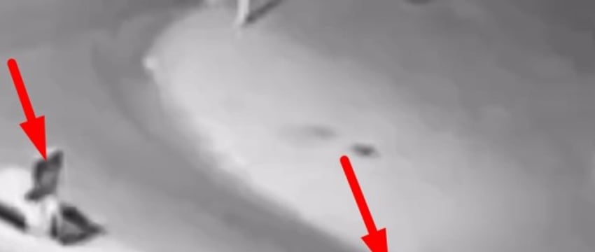 В Пинске сбит пьяный велосипедист